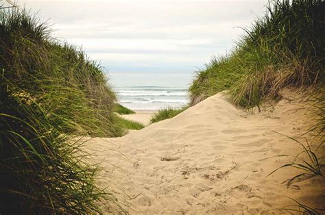 Your Guide to Nehalem Bay State Park - Oregon is for Adventure