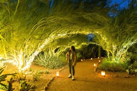 Las Noches de las Luminarias at Desert Botanical Garden | Tempe Tourism