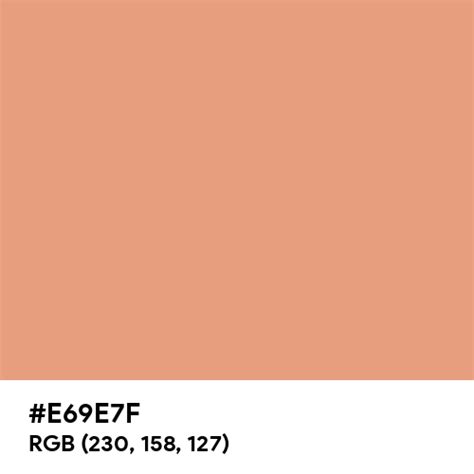 Light Copper color hex code is #E69E7F