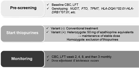 Guideline for optimal prescription of thiopurine. CBC, complete blood... | Download Scientific ...