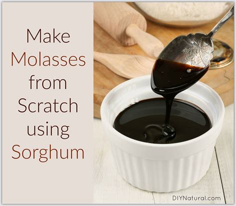 How To Make Molasses From Sorghum you Grow or Purchase