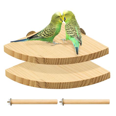 10 Best Bird Cage Accessories: Enhance Your Bird's Habitat ...