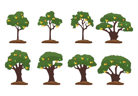 Mango Tree Illustration 127331 Vector Art at Vecteezy