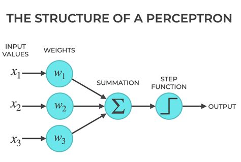 Perceptrons, Explained - Sharp Sight