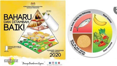 Maksud Piramid Makanan : Bagaimana Untuk Membuat Piramid Makanan Dalam 3d Sains 2021 : Oleh itu ...