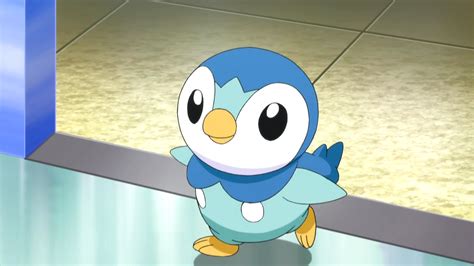 Image - Piplup anime.png | PokéFanon | FANDOM powered by Wikia