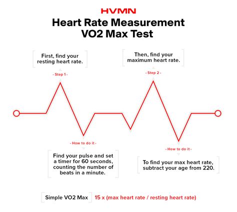 VO2 Max: Training to Use Oxygen Efficiently | H.V.M.N. Blog – Ketone-IQ®