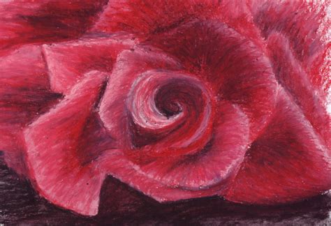 Rose oil pastel by Wendy0 on DeviantArt