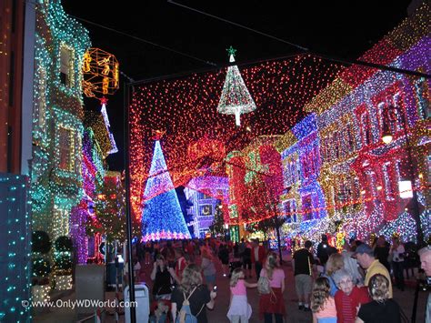 Christmas Lights At Disney World | Christmas Decorating