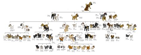 Dogz Genealogy Tree - Every Dogz Born into my Family | The RKC Petz Forum