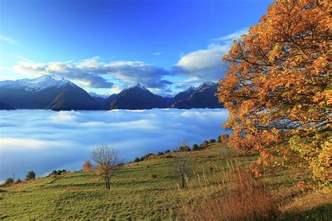 Italy, Aosta Valley, Alps, Aosta District, Saint-pierre, Autumn Morning ...