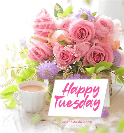 Happy Tuesday GIF With Beautiful Sunflowers | SuperbWishes.com