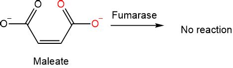 4.7: Electrophilic addition reactions - Chemistry LibreTexts