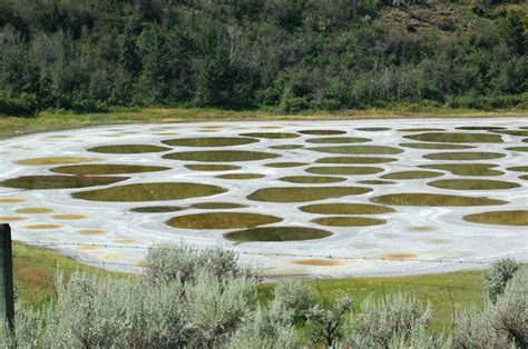 Spotted Lake, Canada | Amusing Planet