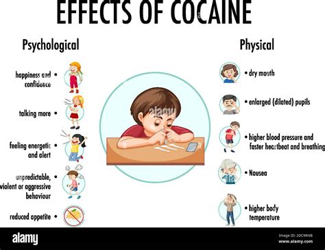 Effects of cocaine information infographic illustration Stock Vector Image & Art - Alamy