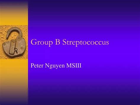 PPT - Group B Streptococcus PowerPoint Presentation, free download - ID:359340