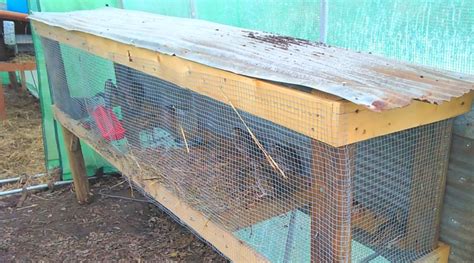 Easy Quail Hutch You Can Build in One Weekend - Backyard Poultry