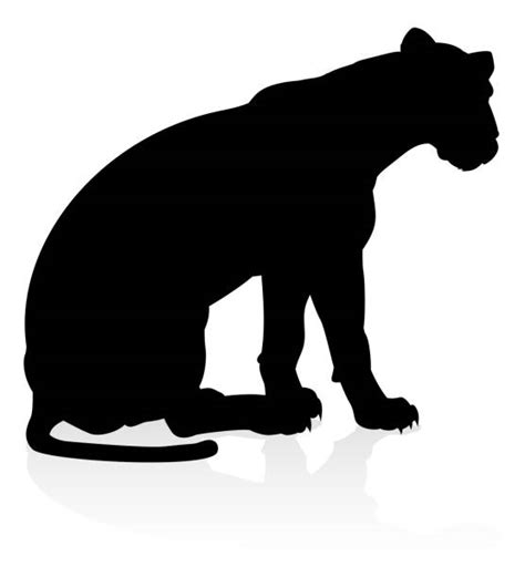 Mountain Lion Silhouette Illustrations, Royalty-Free Vector Graphics ...