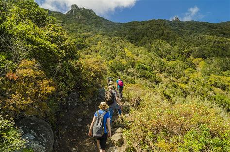 Senderismo, Tenerife, Islas Canarias // The best hiking trails in Tenerife: Tenerife Walking ...