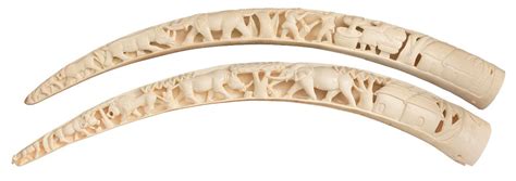 Excellent Pair of Attractively Carved Ivory Tusks | Rock Island Auction