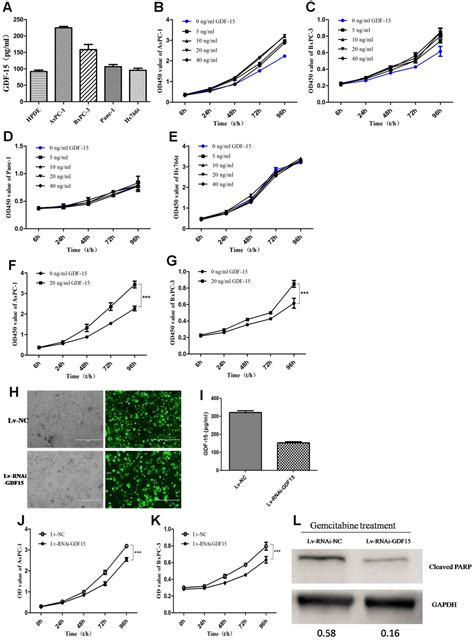 Upregulated GDF-15 expression facilitates pancreatic ductal adenocarcinoma progression through ...