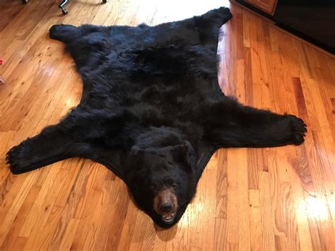 Black Bear Rug for Sale2 - Deep Creek Times