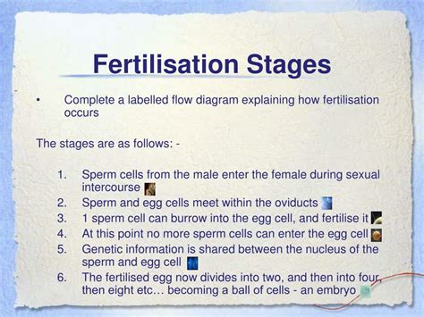 PPT - Fertilisation PowerPoint Presentation, free download - ID:7045634