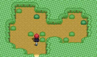 Ilex Forest Quest - Pokemon World Online Wiki