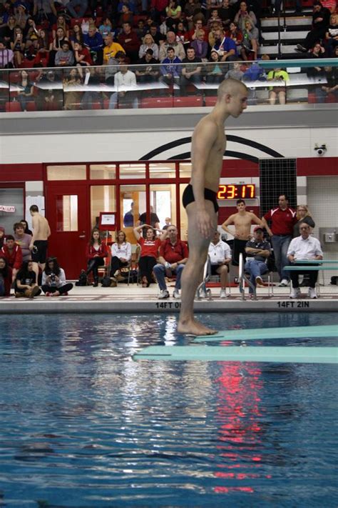 Three Sectional medals for boys diving – Lake Central News