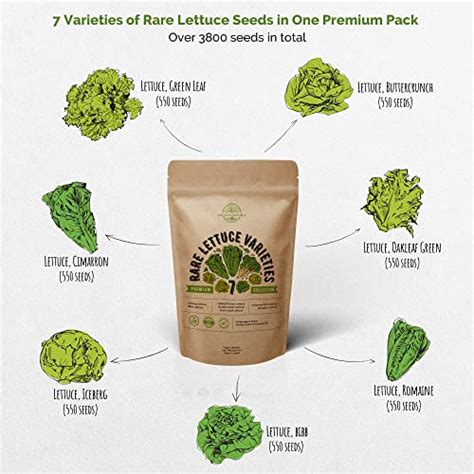 7 Lettuce Seeds Variety Pack - Non-GMO Heirloom Seeds for Planting ...