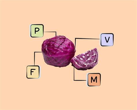 Red Cabbage Nutrients