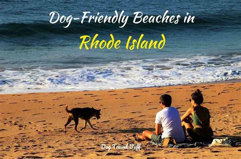 9 Best Dog-Friendly Beaches in Rhode Island - DogTravelBuff