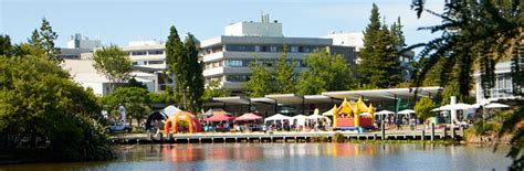 University of Waikato Foundation Year Program | Foundation Year Programs in the UK, Australia ...