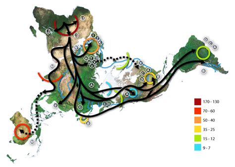 Early human migrations