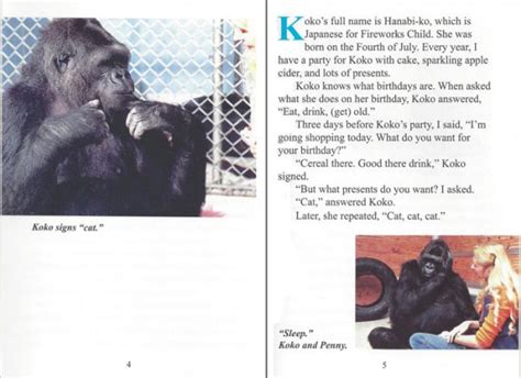 Koko's Kitten (paperback) - The Gorilla Foundation