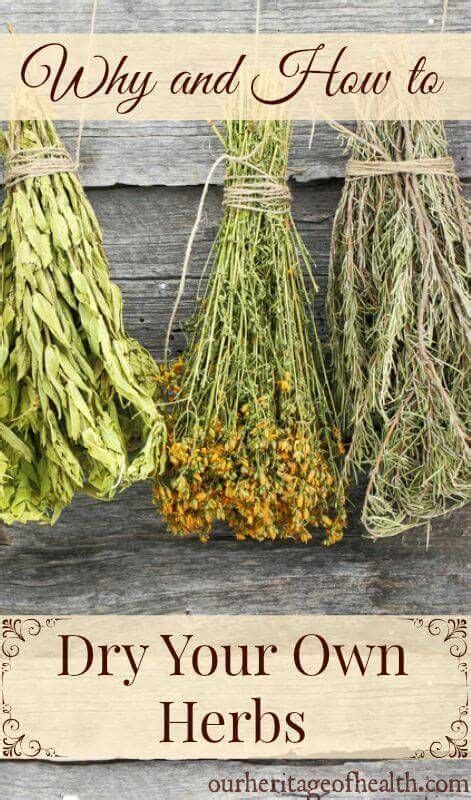 Best 12 How to Dry Herbs for Food Storage – Artofit