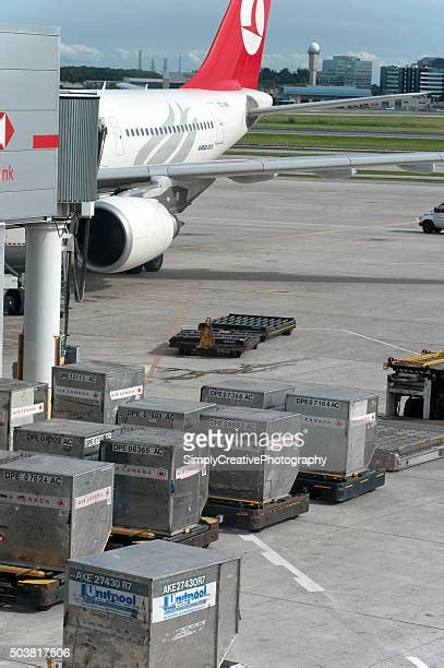 281 Air Cargo Security Stock Photos, High-Res Pictures, and Images ...