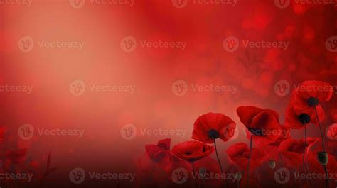 Remembrance Day background with copy space. Red poppy flowers on bokeh ...