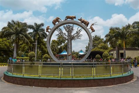 Zoo Park Hyderabad: Timings, Ticket Price & How to Visit | Veena World