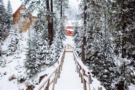 Snow covered bridge in forest 3561952 Stock Photo at Vecteezy