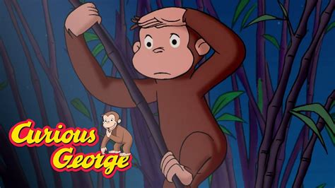 George at the Zoo! 🐵Curious George 🐵Compilation 🐵Kids Movies 🐵Videos for Kids - YouTube