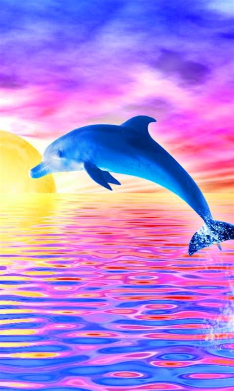 Dolphin Wallpaper Cute - KoLPaPer - Awesome Free HD Wallpapers