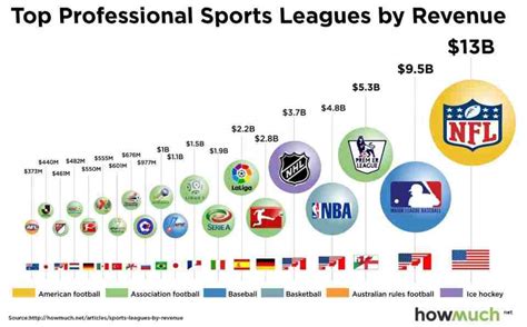 Top 10 major professional sports leagues by revenue earnings.