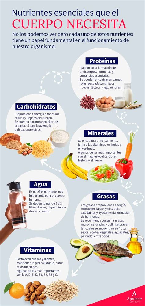 Tipos de nutrientes: por qué y cuáles necesitas | Aprende Institute