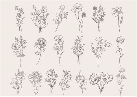 Flower Sketch Vector Art, Icons, and Graphics for Free Download