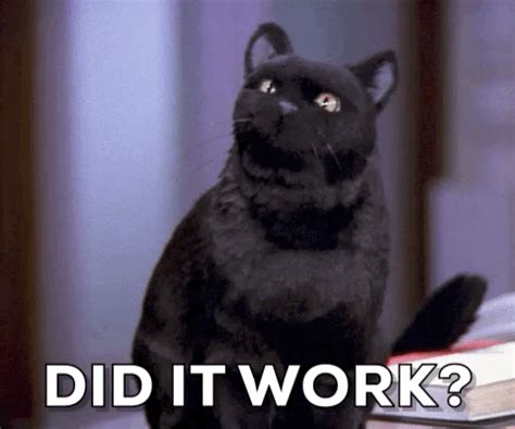 Sabrina The Teenage Witch GIFs - Get the best GIF on GIPHY