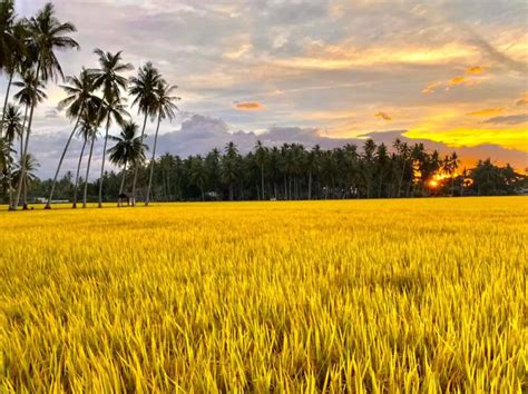 Kampung Agong - Tempat Paling Cantik Untuk OOTD Di Pulau Pinang