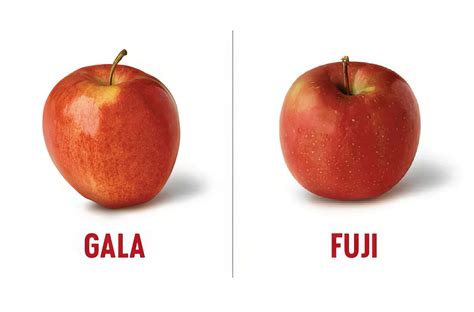 Discover The Incredible Health Benefits Of Fuji Apples - Tidbits of ...