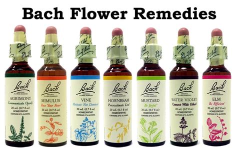 Original Bach Flower Remedies - Information and Sale - Info@BachFlower ...