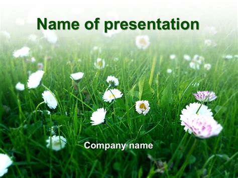 Download free Summer Flowers powerpoint template for presentation | My Templates Shop